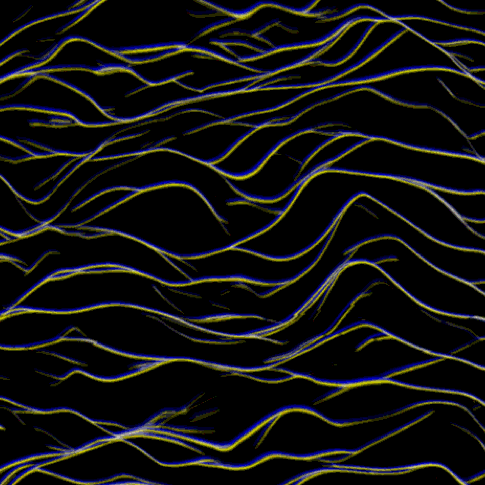 Sonic Experiments
